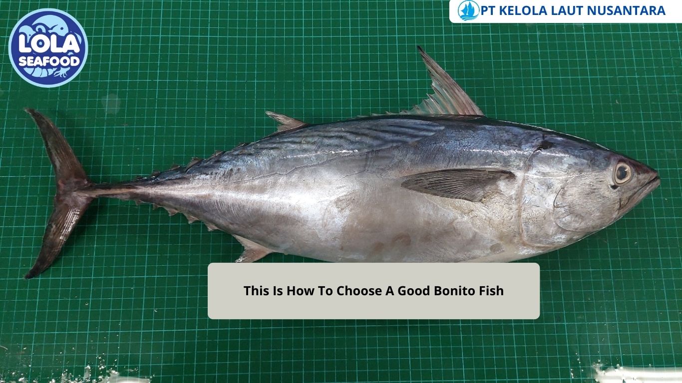 This Is How To Choose A Good Bonito Fish